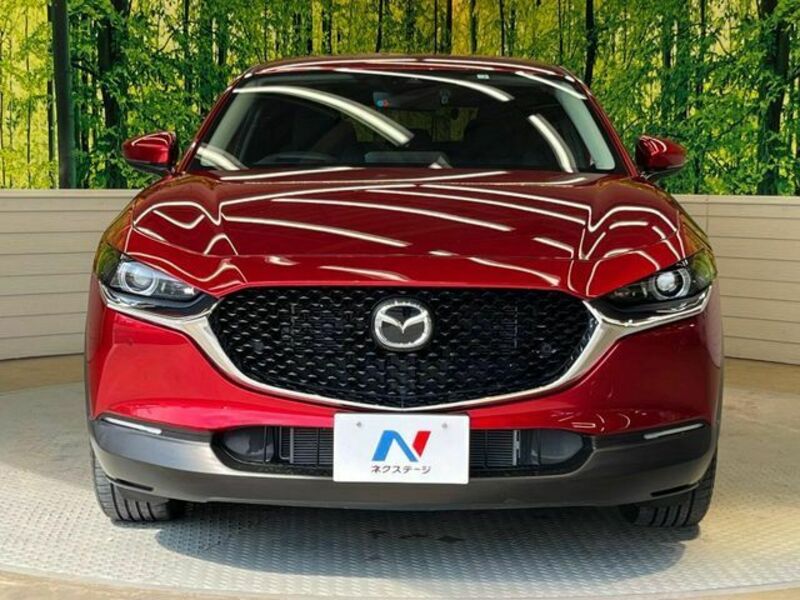CX-30