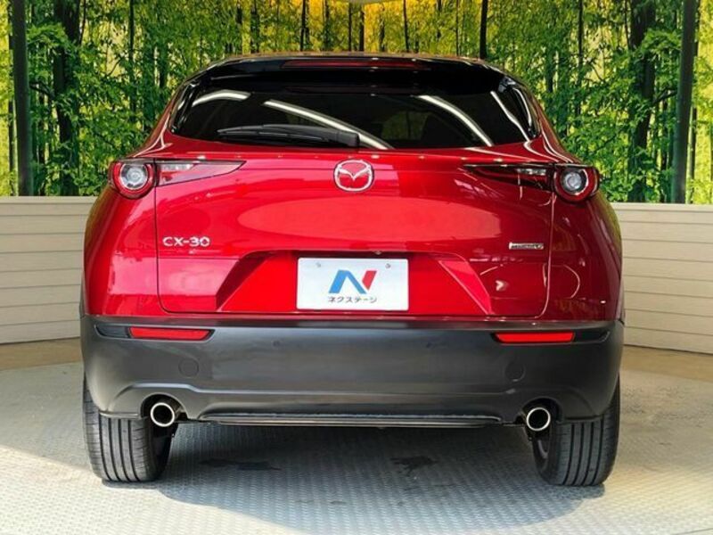 CX-30
