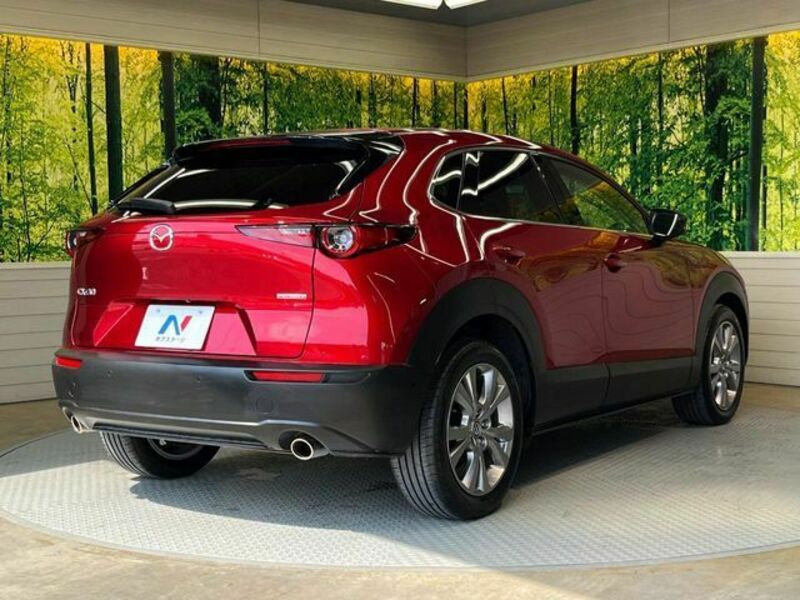 CX-30