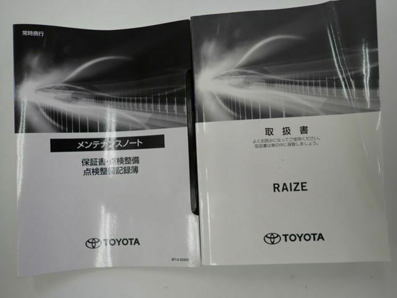 RAIZE