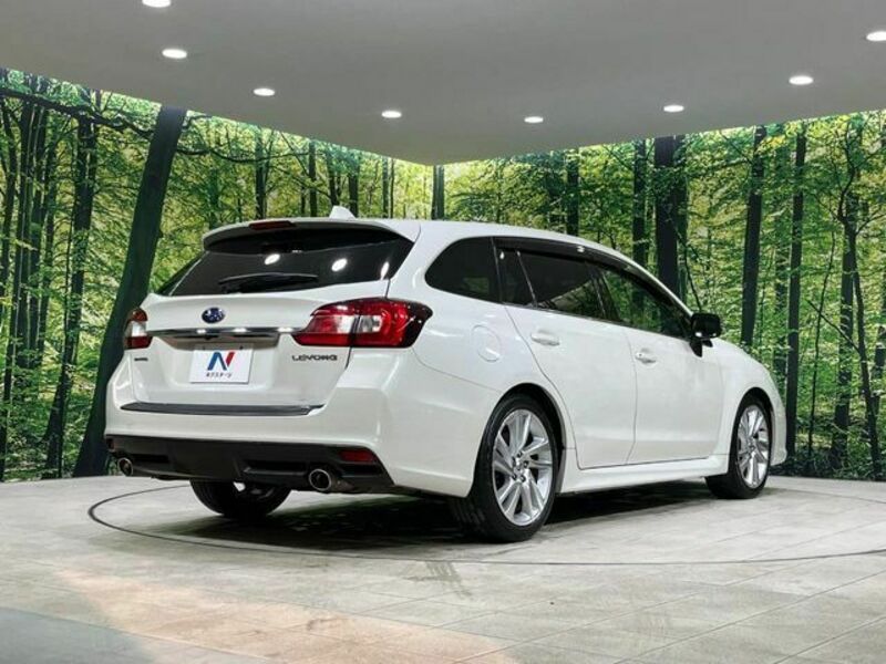 LEVORG