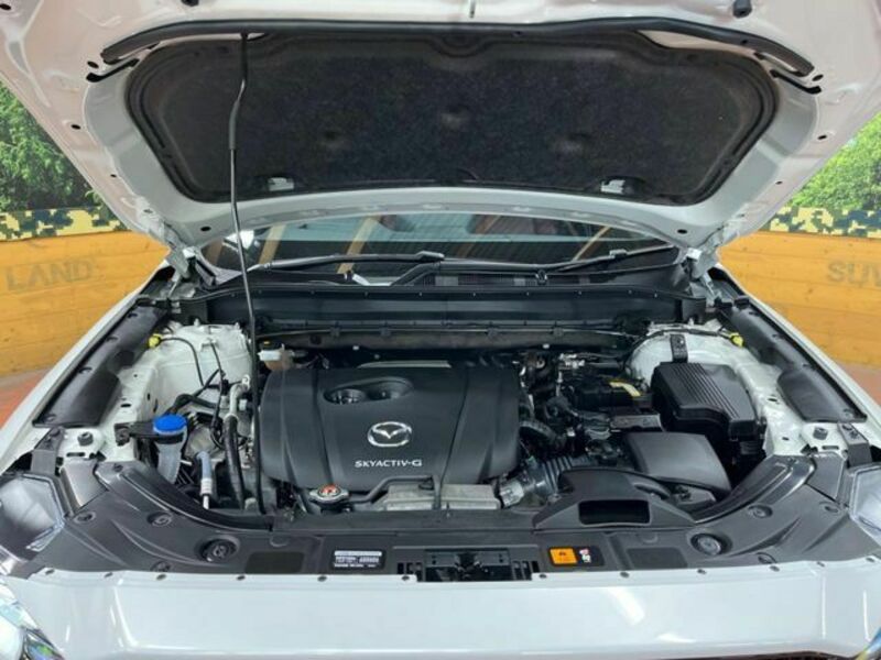 CX-8