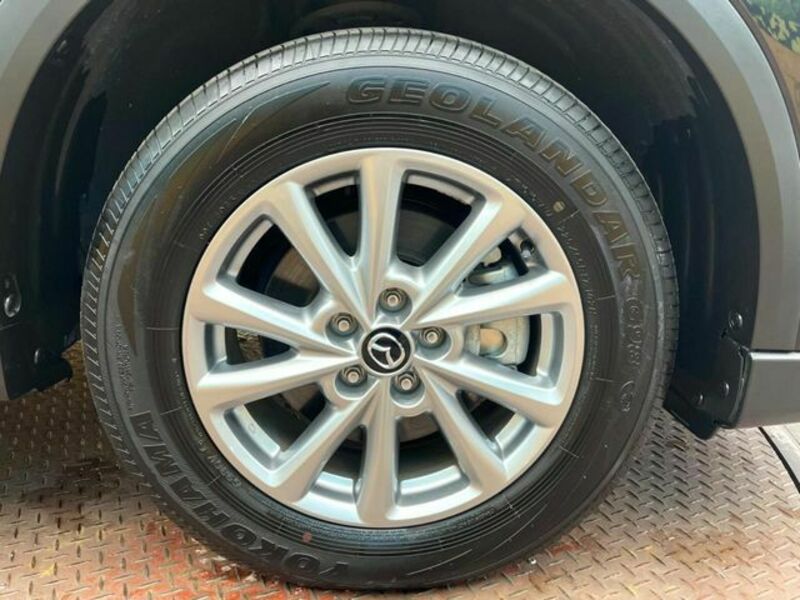 CX-8