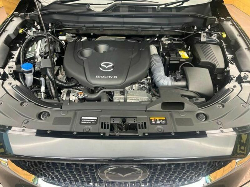 CX-8