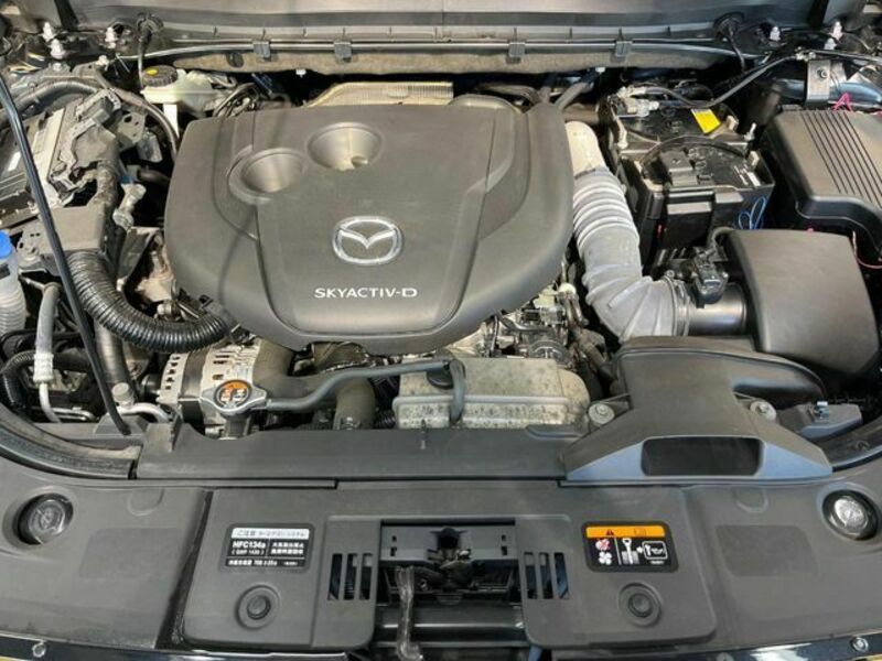 CX-8