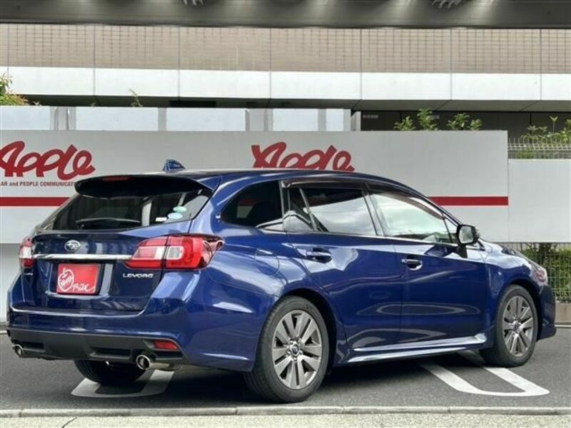 LEVORG
