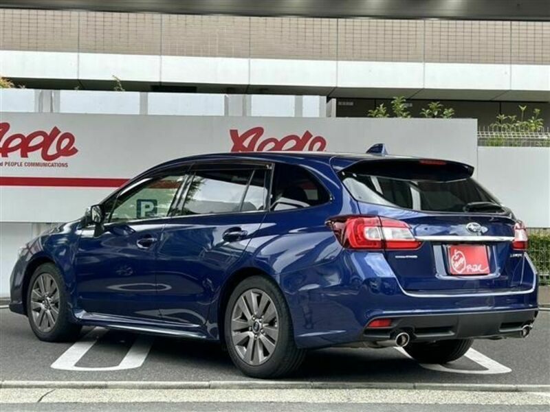 LEVORG