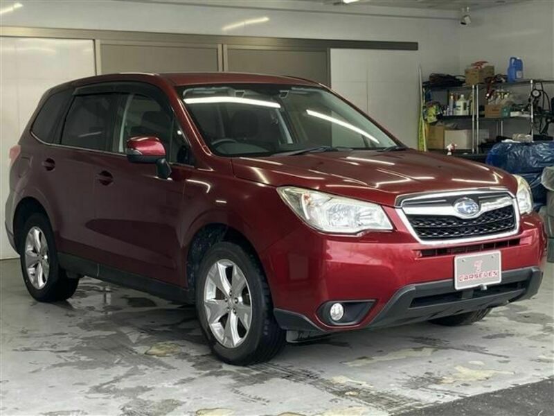 FORESTER