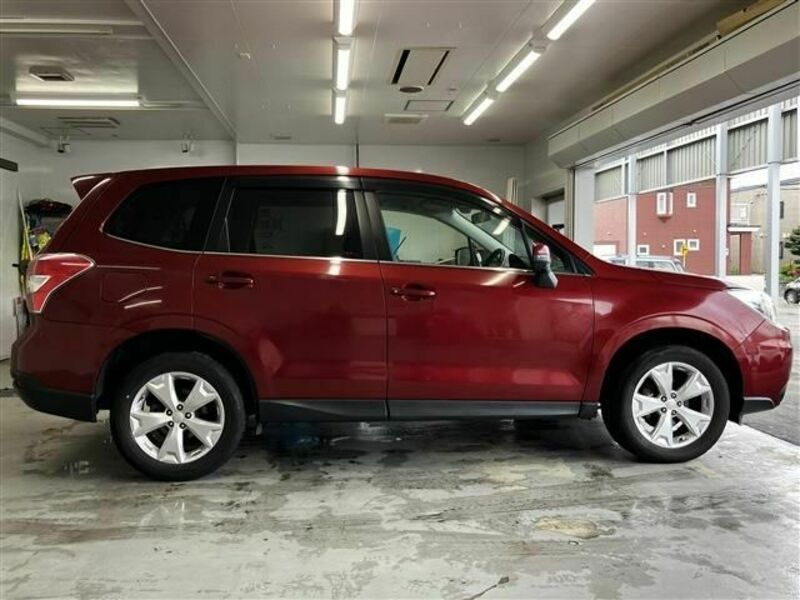 FORESTER