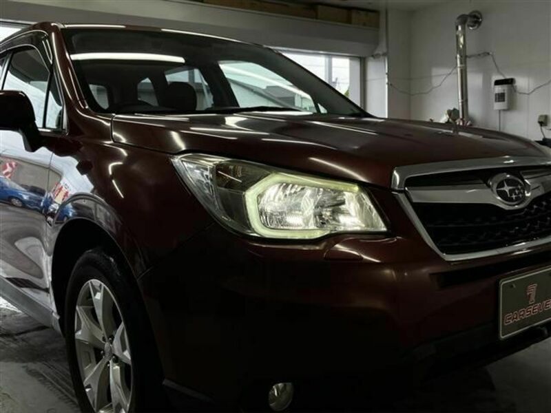 FORESTER