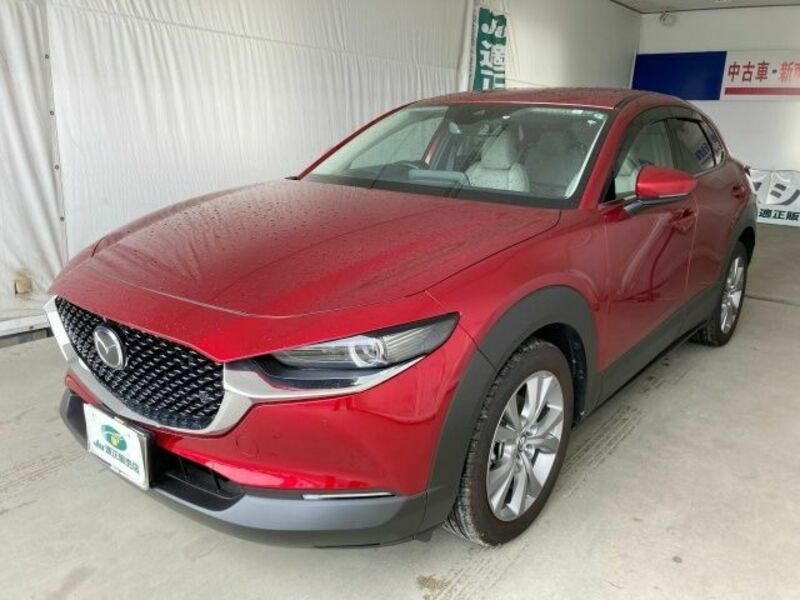 CX-30