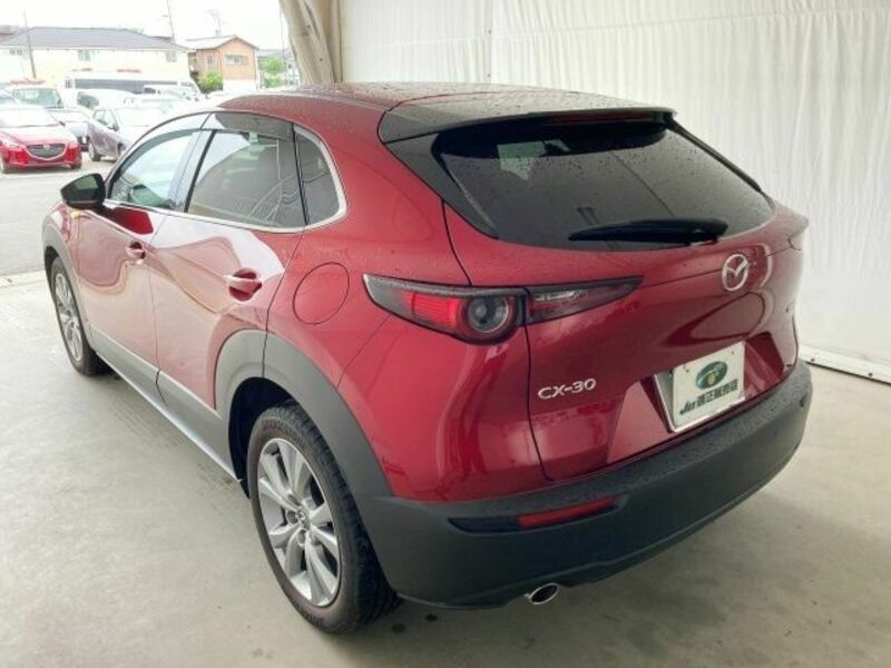 CX-30