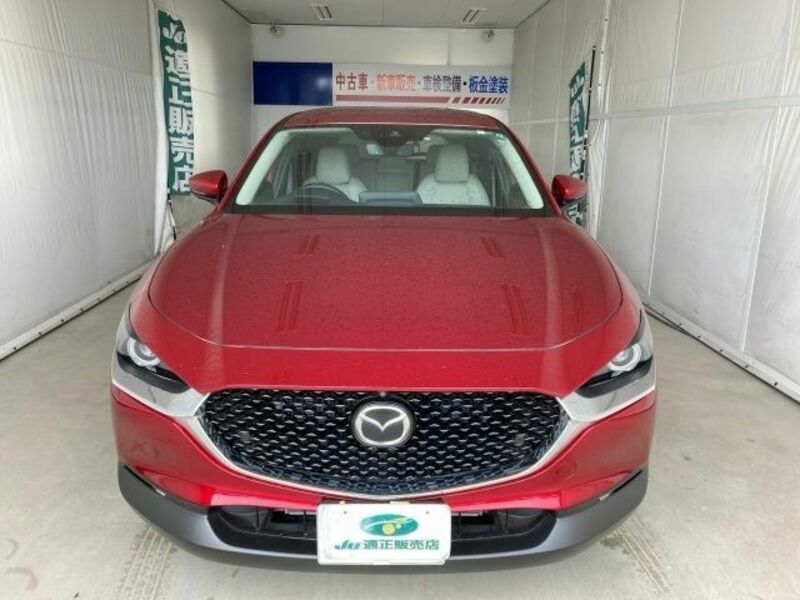 CX-30