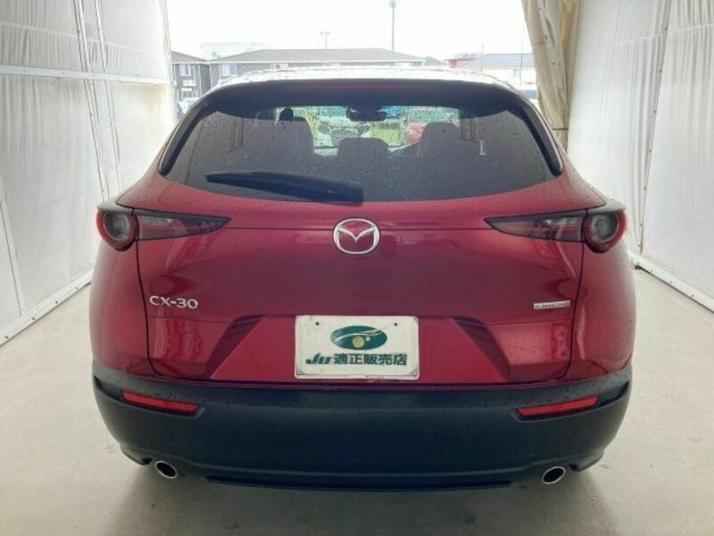 CX-30
