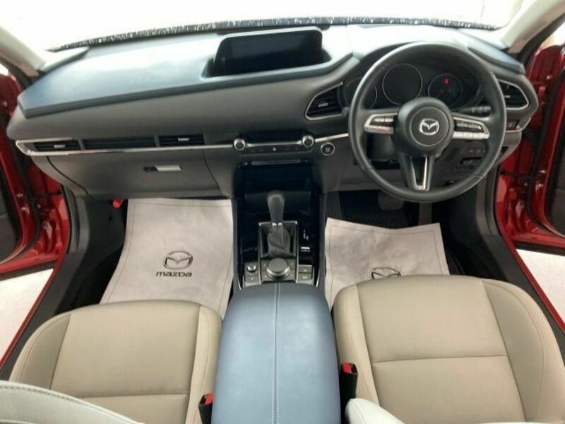 CX-30
