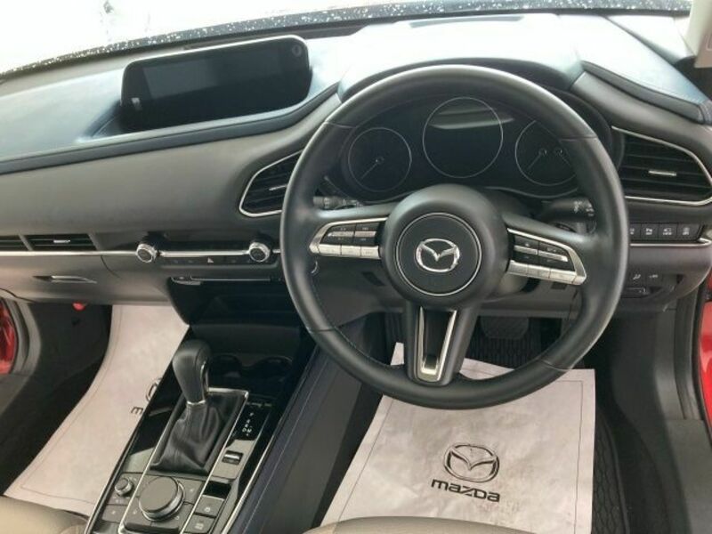 CX-30