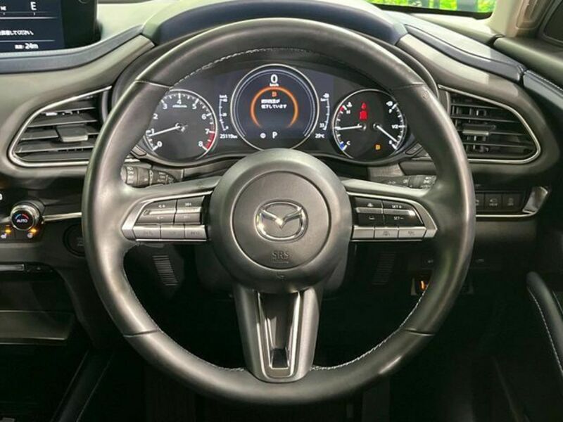 CX-30