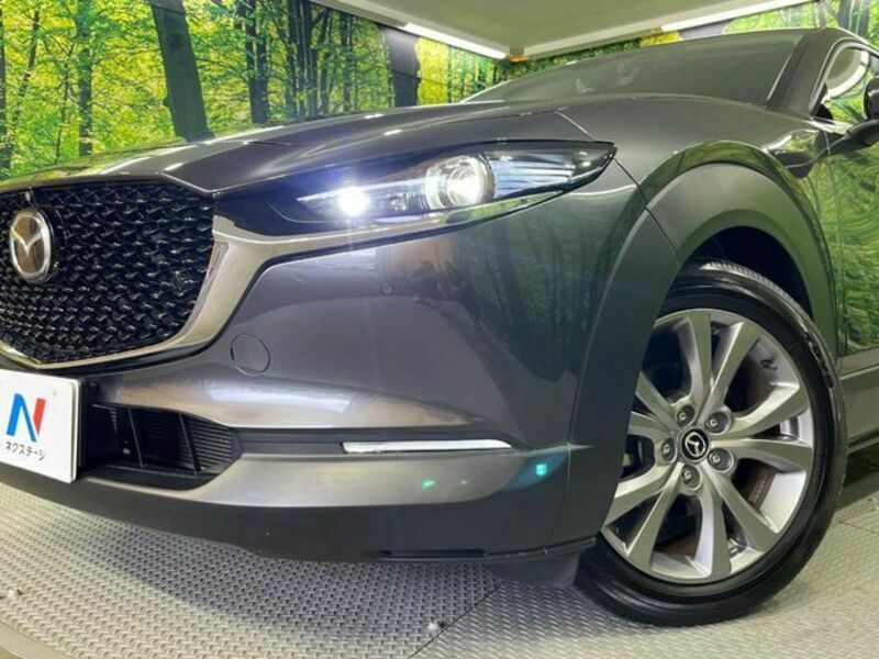 CX-30