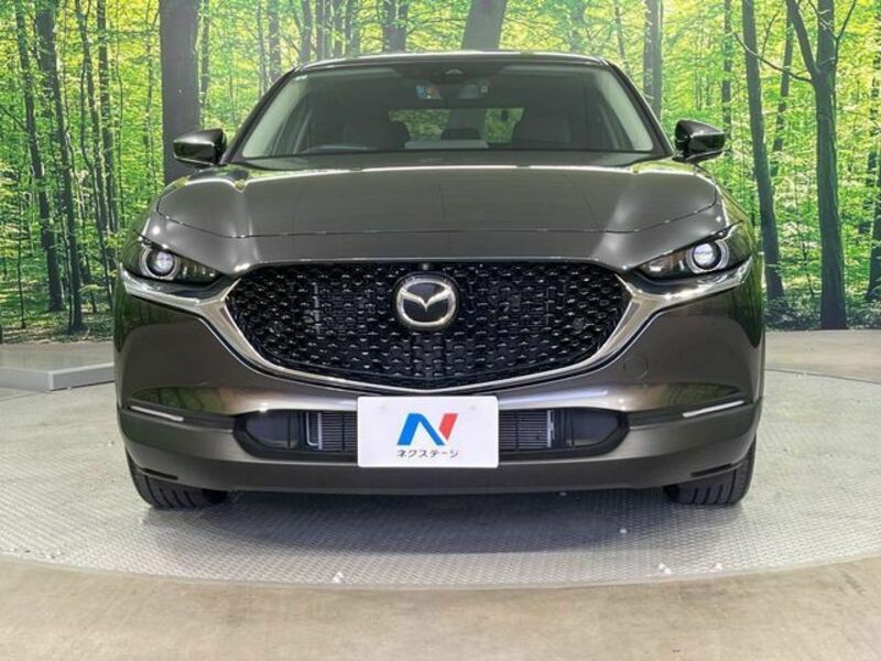 CX-30