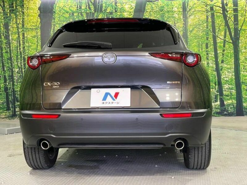 CX-30