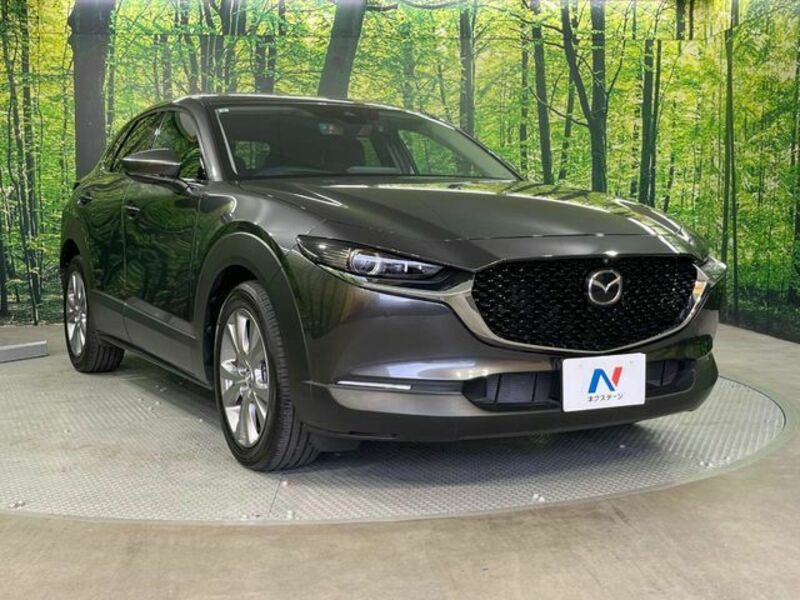 CX-30