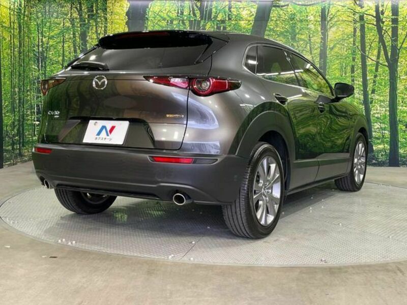 CX-30