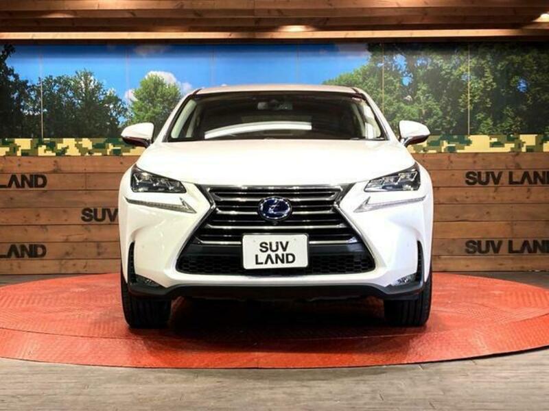 NX