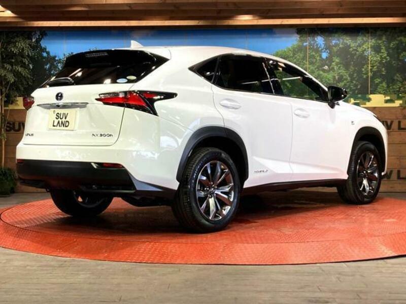 NX
