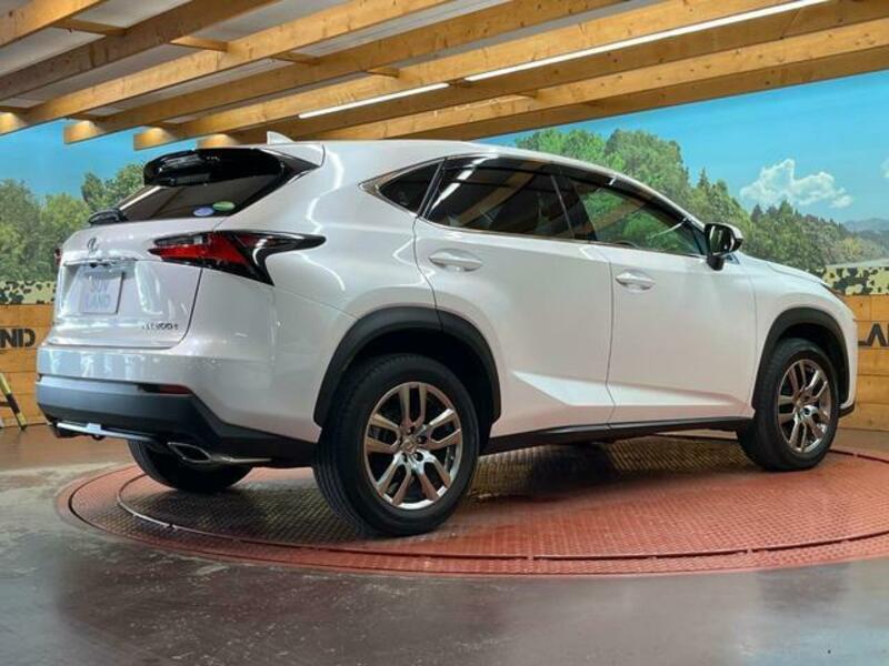 NX