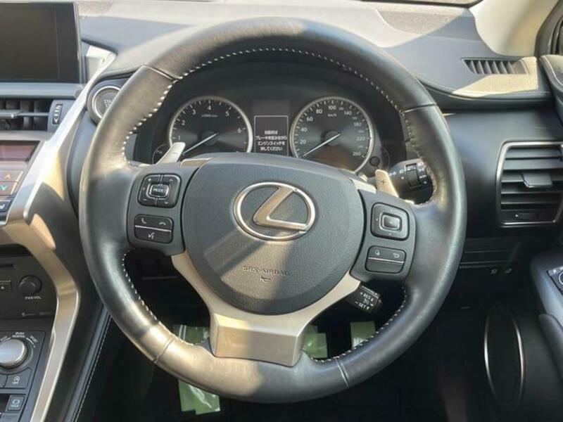 NX