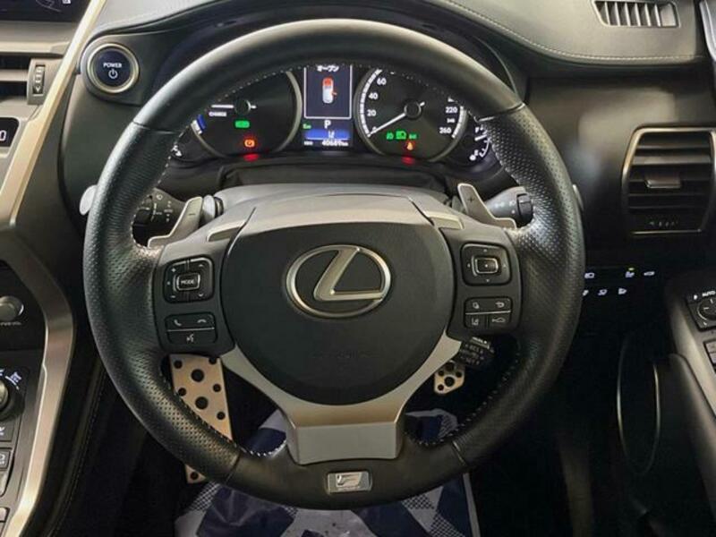 NX