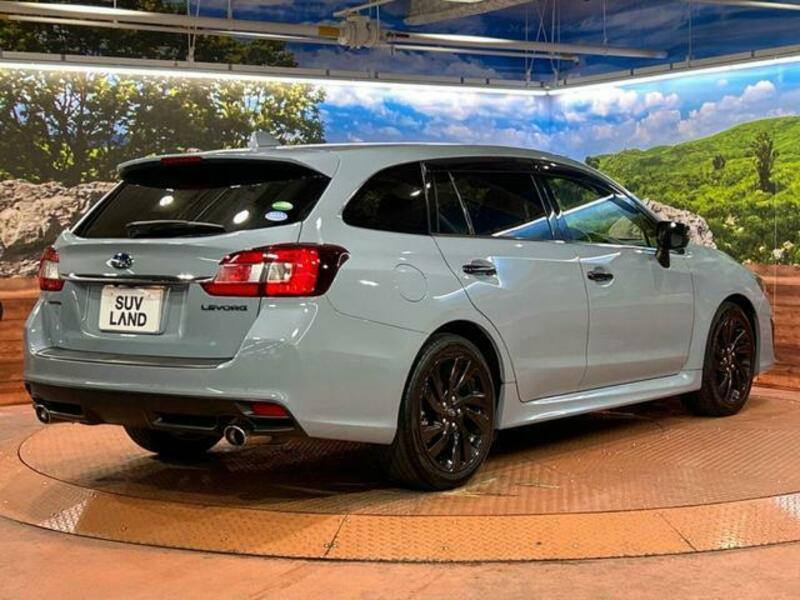 LEVORG