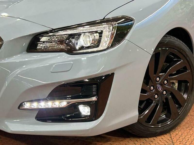 LEVORG