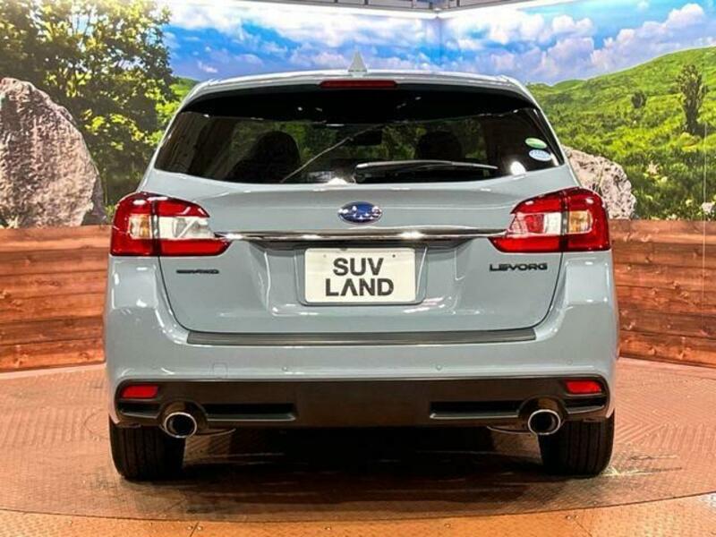 LEVORG