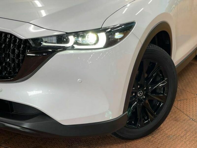 CX-8