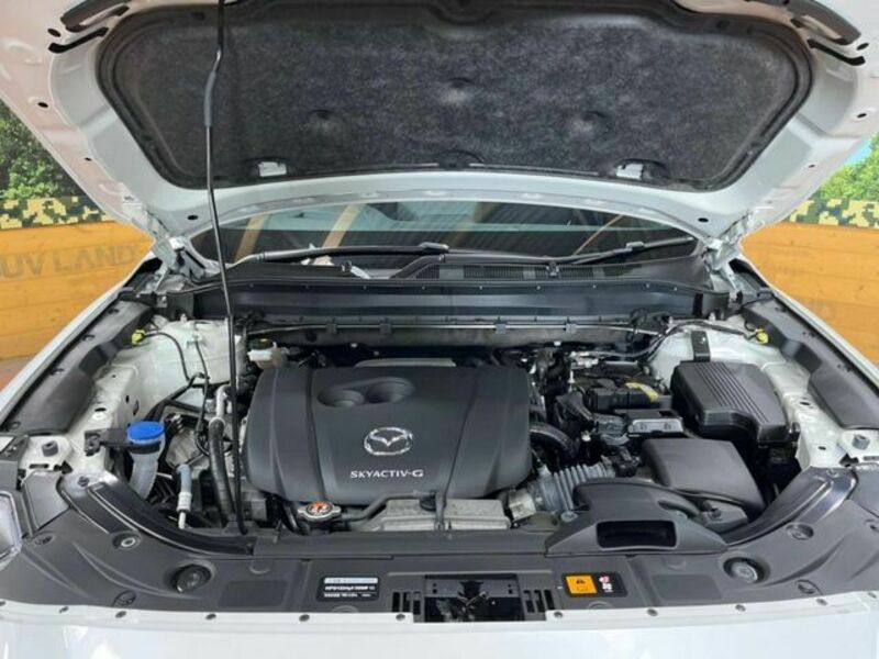 CX-8