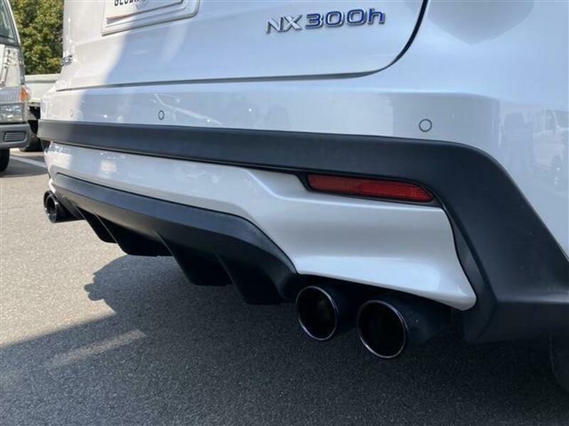 NX