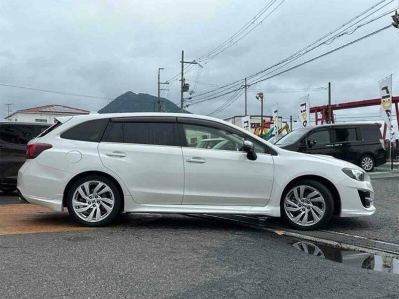 LEVORG