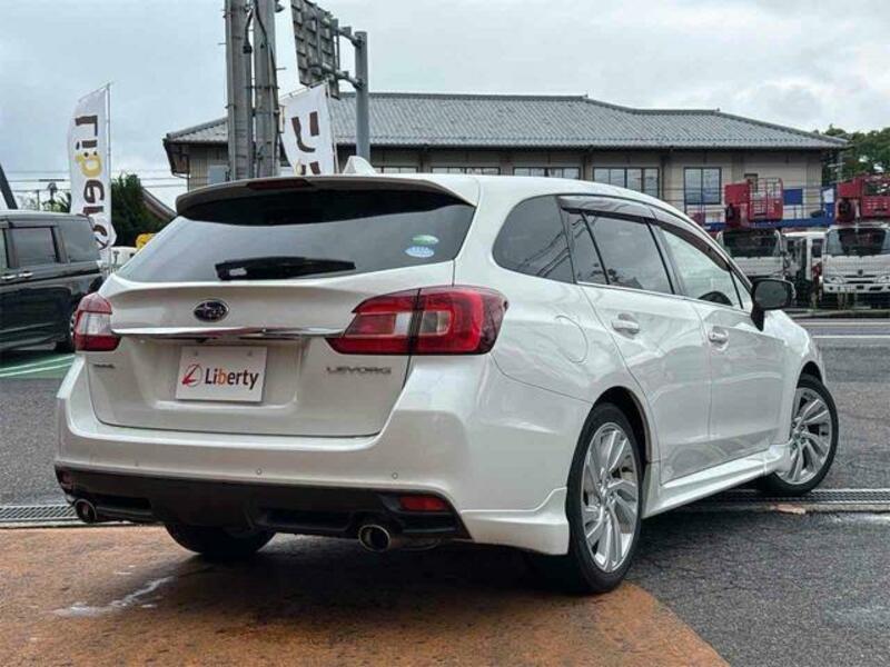 LEVORG
