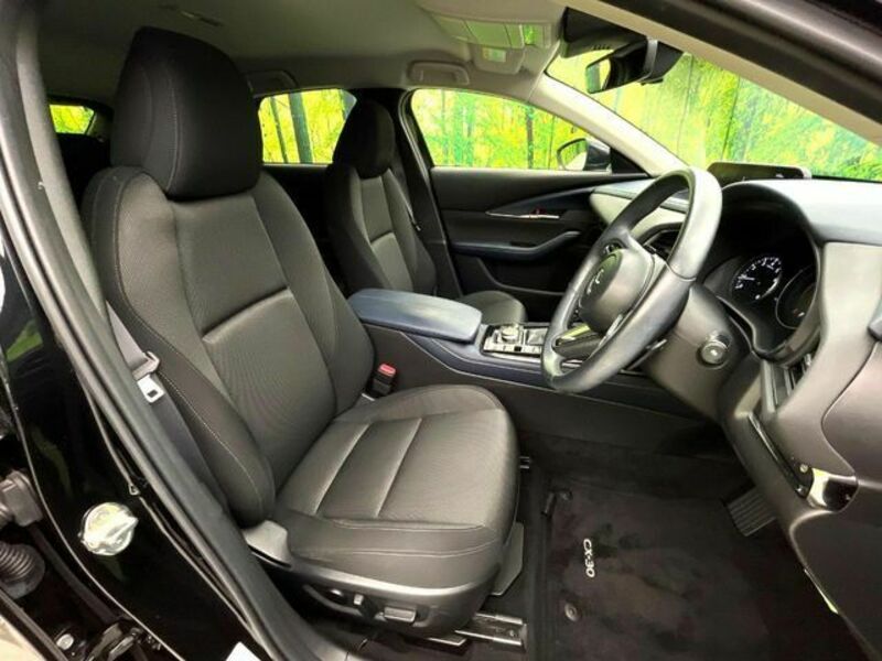 CX-30