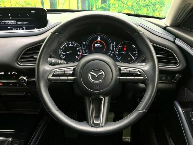 CX-30