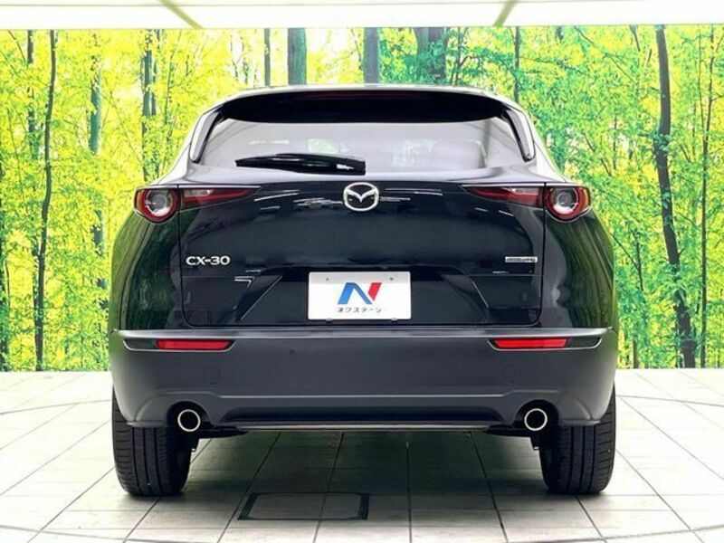 CX-30