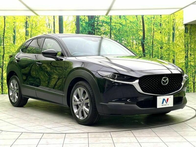 CX-30