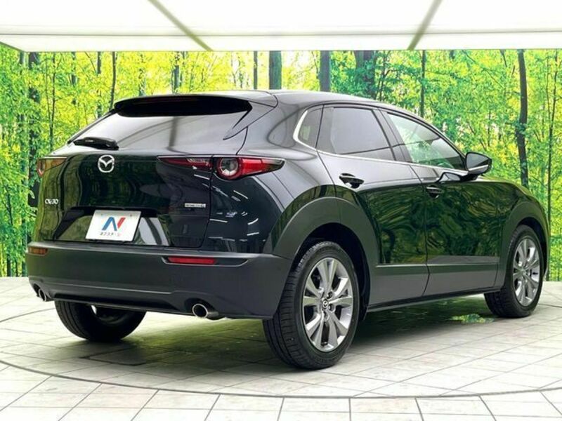 CX-30