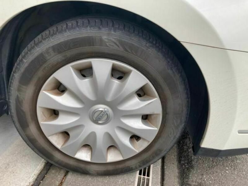 BLUEBIRD SYLPHY