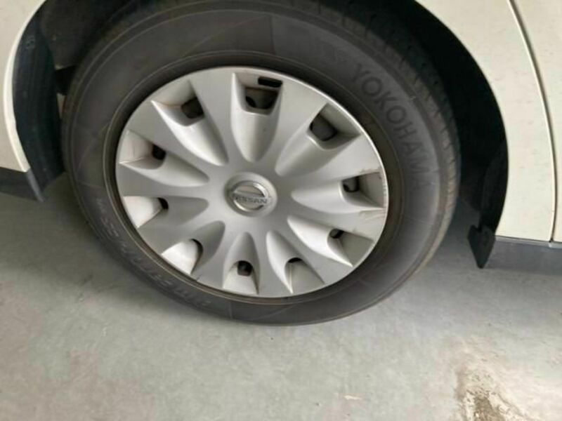 BLUEBIRD SYLPHY