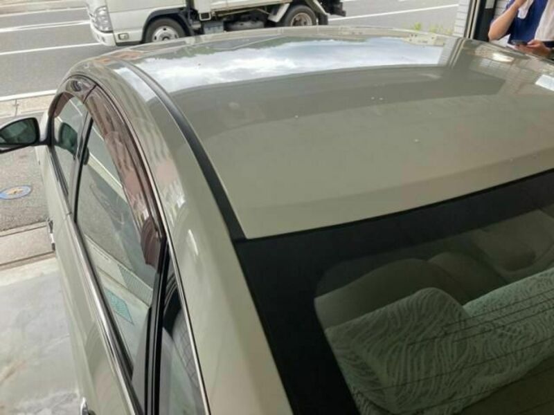BLUEBIRD SYLPHY