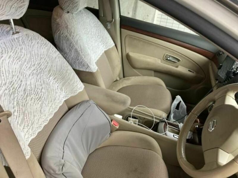 BLUEBIRD SYLPHY