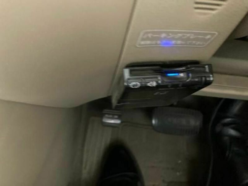 BLUEBIRD SYLPHY