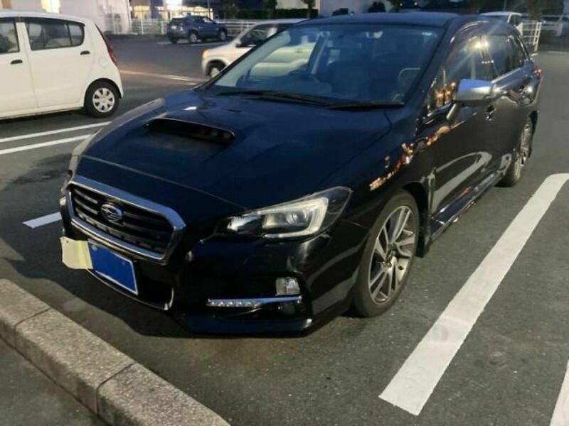 LEVORG-0